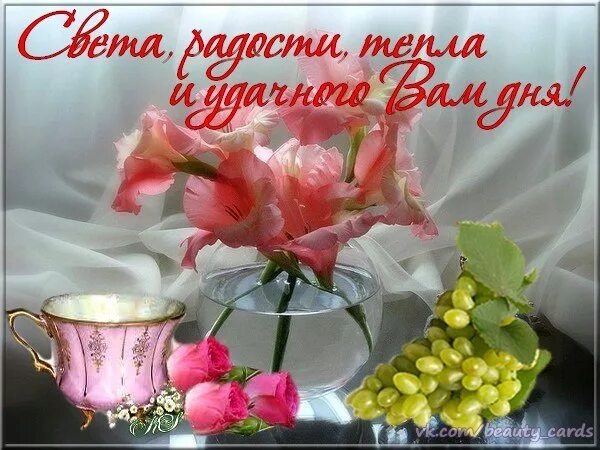 Картинка с прекрасным днем и хорошего ЗРЯ В ЭТОМ МИРЕ НИЧТО НЕ СЛУЧАЕТСЯ! МЕСТО ДЛЯ ЛУЧШЕГО ОСВОБОЖДАЕТСЯ! НЕ ТОРОПИТЕ
