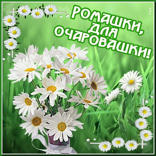 Картинка с ромашками с красивым пожеланием Ромашки для айгульки и наташки: найдено 80 изображений