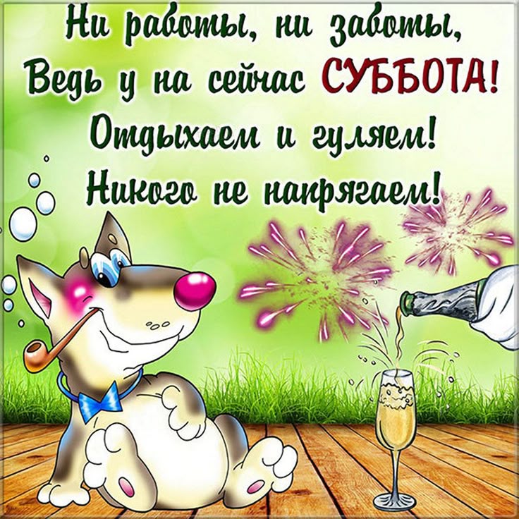 Картинка с субботним днем прикольные Прикольная открытка с субботой и стихами Открытки, Субботы, Смешные открытки