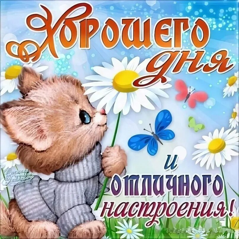 Картинка с удачным днем прикольные Хорошего дня! 2024 Красивые открытки с надписями ВКонтакте