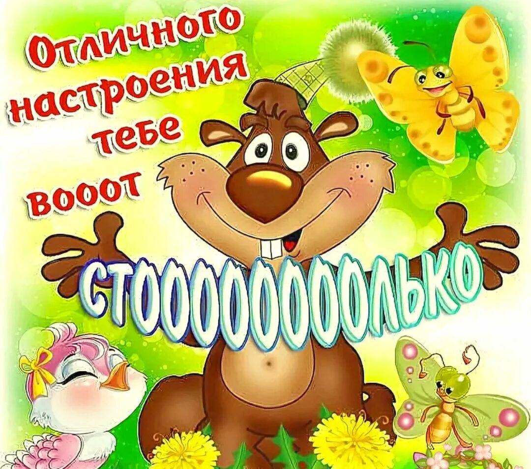 Картинка с удачным днем прикольные Хорошего дня - блог Санатории Кавказа