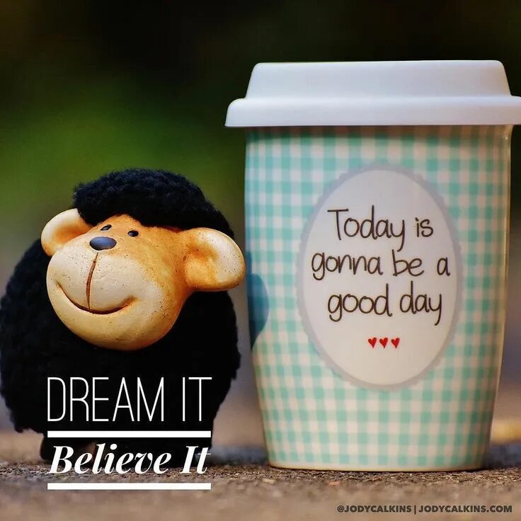 Картинка с удачным днем прикольные Good morning! Instagram posts, Good morning, Teddy