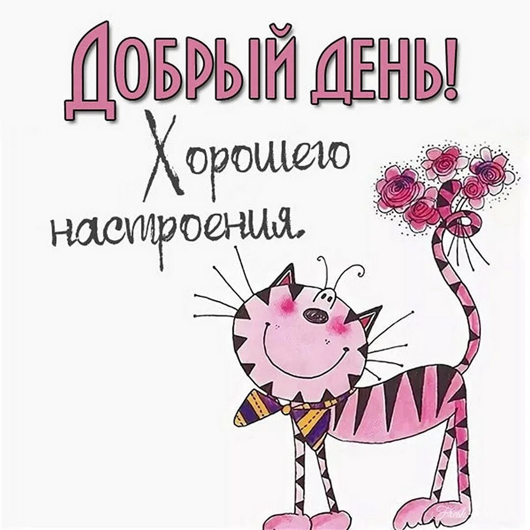 Картинка с юмором мужчине хорошего дня Добрый день с юмором - 54 шт