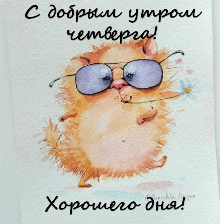 Картинка с юмором мужчине хорошего дня Пин от пользователя Света Плюта на доске Доброе утро Утро четверга, Доброе утро,