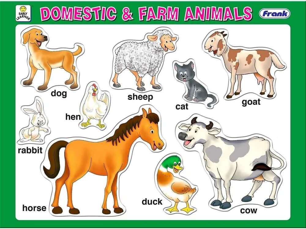 Картинка с животными для детей для описания Quotes about Domestic Animals (29 quotes)