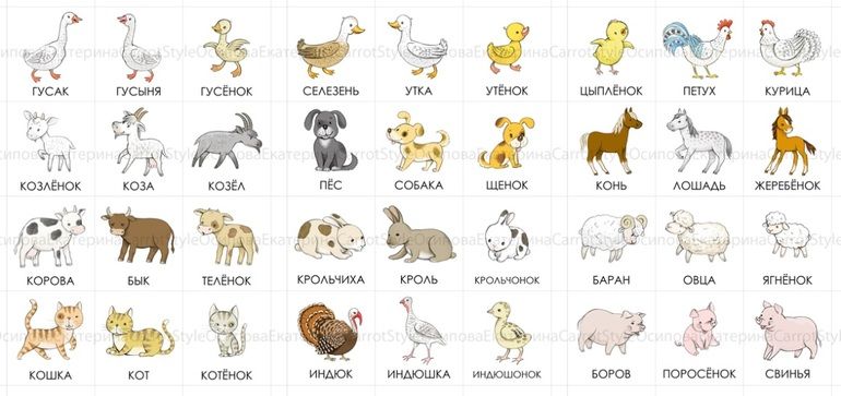 Картинка с животными для детей для описания Pin on Развивающие игры для малышей