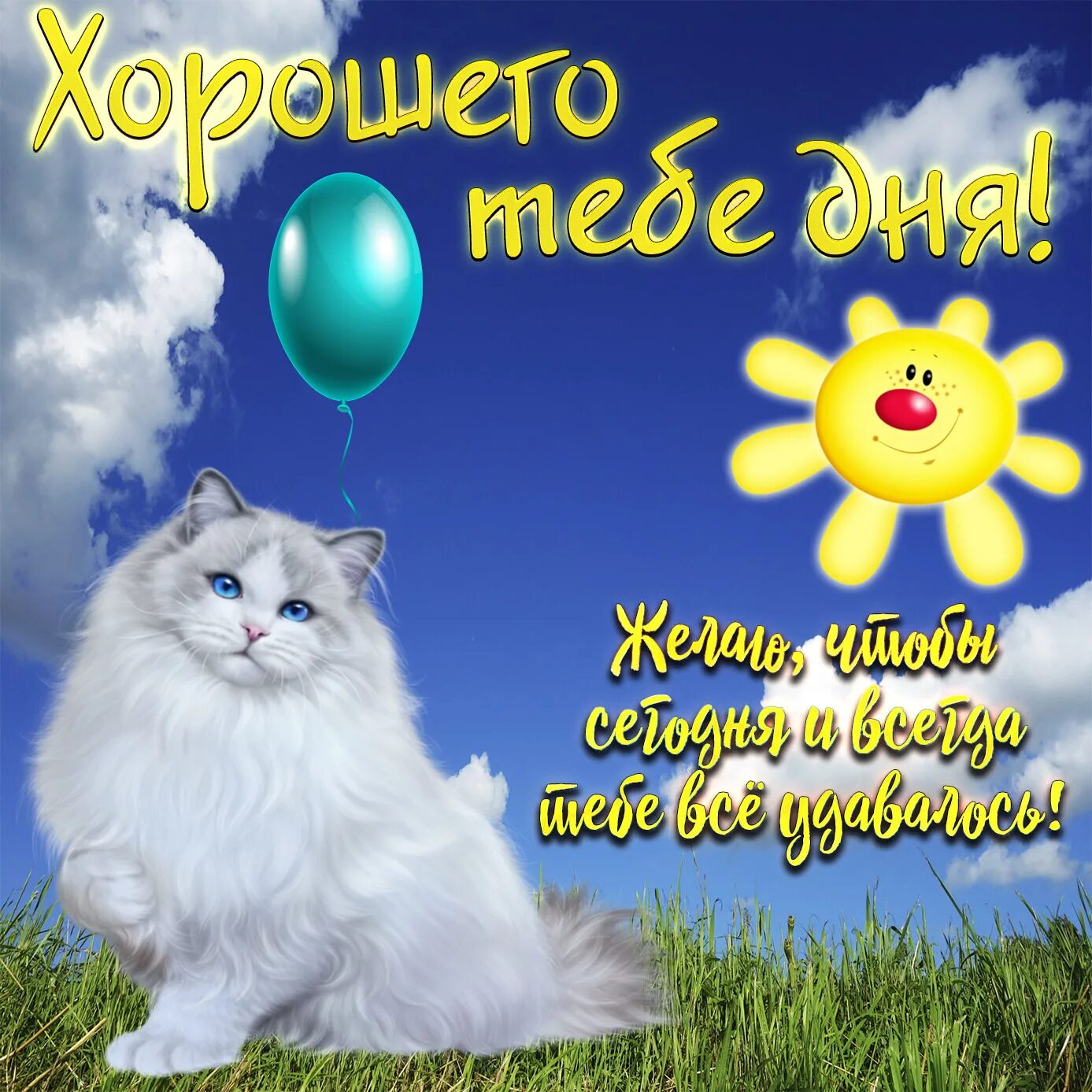 Картинка самого хорошего дня мужчине Картинка хорошего тебе дня с милой кошечкой