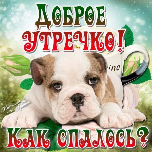 Картинка саша доброе утро прикольные Ошибка 429 Смешные детские картинки, Доброе утро, Веселые картинки