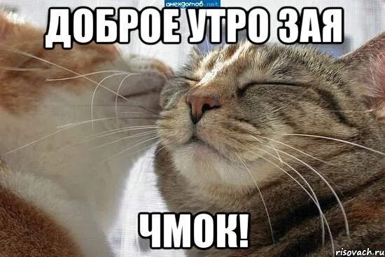 Картинка саша доброе утро прикольные отправлено через ► vk.com/fotiko ◄. Фотография из альбома Фотико 3 - 0 из 80 ВКо