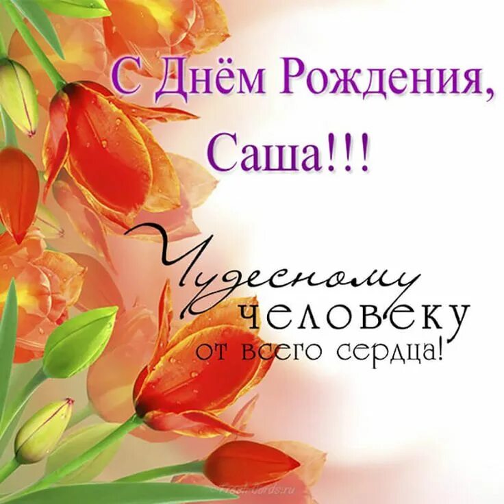 Картинка саша с днем рождения женщине Картинки по запросу привітання з днем народження саша С днем рождения, Рождение,