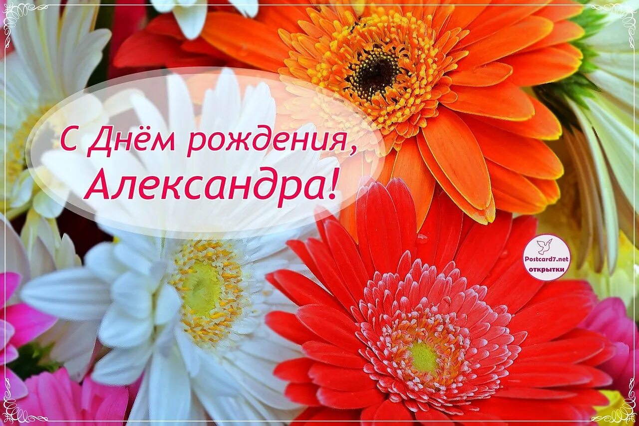 Картинка саша с днем рождения женщине ПРИВЕТСТВИЯ и ПОЖЕЛАНИЯ, открытки на каждый день. опубликовал пост от 17 декабря