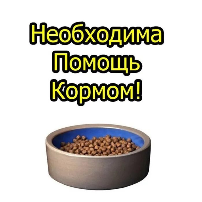 Картинка сбор корма для животных помощь РОТВЕЙЛЕРАМ и не только (апрель 2017) ВЕТЕР - обсуждение на форуме e1.ru 