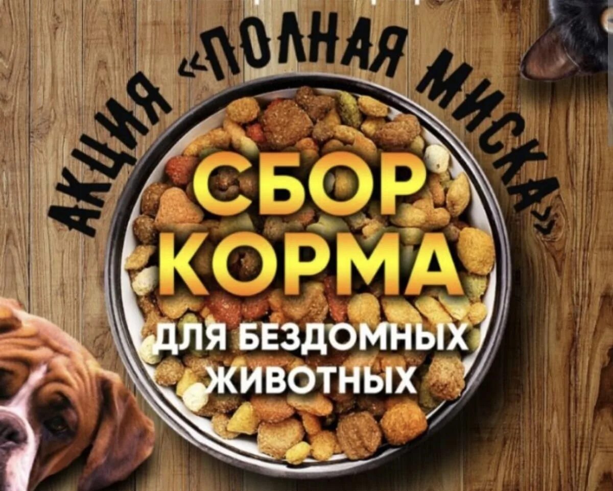 Картинка сбор корма для животных У нас продолжается акция "Полная миска" 2023 МБОУ Средняя школа N16 -ЦО ВКонтакт