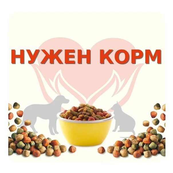 Картинка сбор корма для животных Ходж Насреддин туралы спектакльде есек қалай сөйледі? "Махаббат қайтып келеді, а