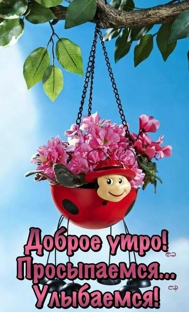 Картинка счастливого дня и хорошего настроения Пин от пользователя Людмила Бойко на доске Доброе утро Доброе утро, Спокойной но