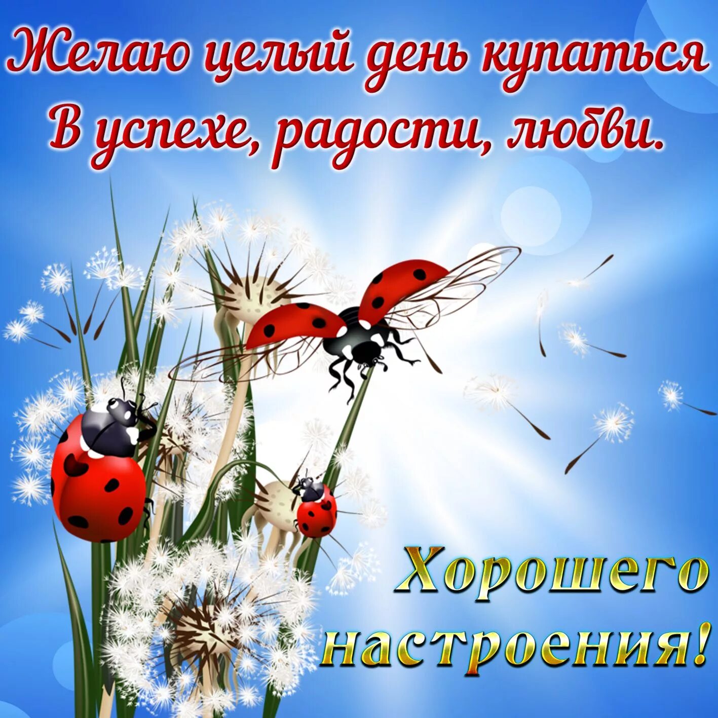 Картинка счастливого дня и хорошего настроения Картинка прекрасного дня и настроения мужчине: найдено 72 изображений