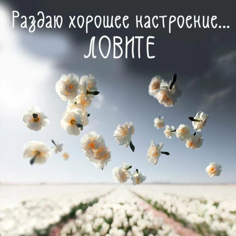 Картинка счастливого дня и хорошего настроения Post #1298 - Женские открытки (E4n6Kmds2tw0ODJi)
