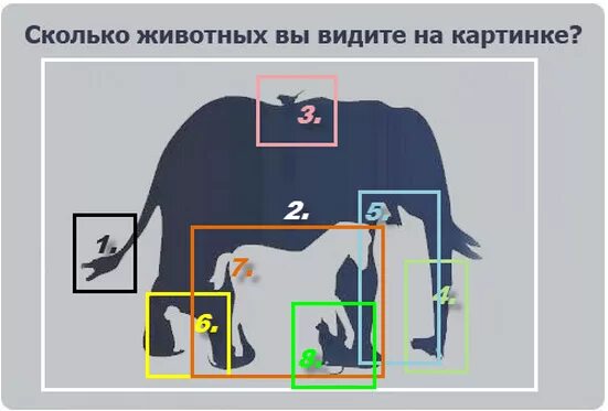 Картинка слон сколько животных Сколько животных вы видите на картинке?