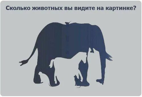 Картинка слон сколько животных Задачи для детей. Животные / Логические задачи с ответами для детей - по математ