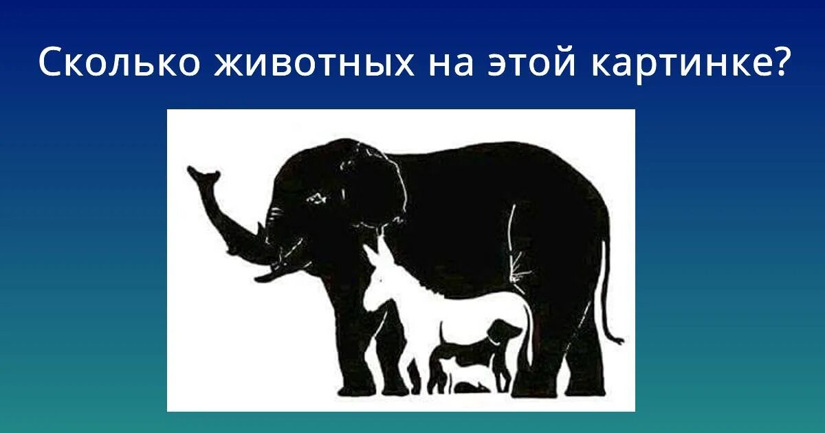 Картинка слон сколько животных Все спорят, сколько же животных на этой картинке. Скольких ты сможешь найти?