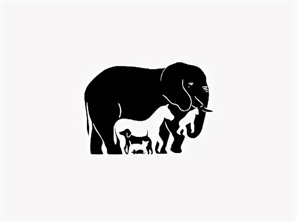 Картинка слон сколько животных How to draw elephant - YouTube
