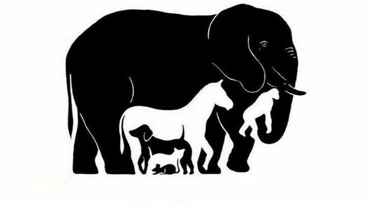 Картинка слон сколько животных Pin de Алексей Кирилюк en Узоры, рамки... Pinturas, Animales