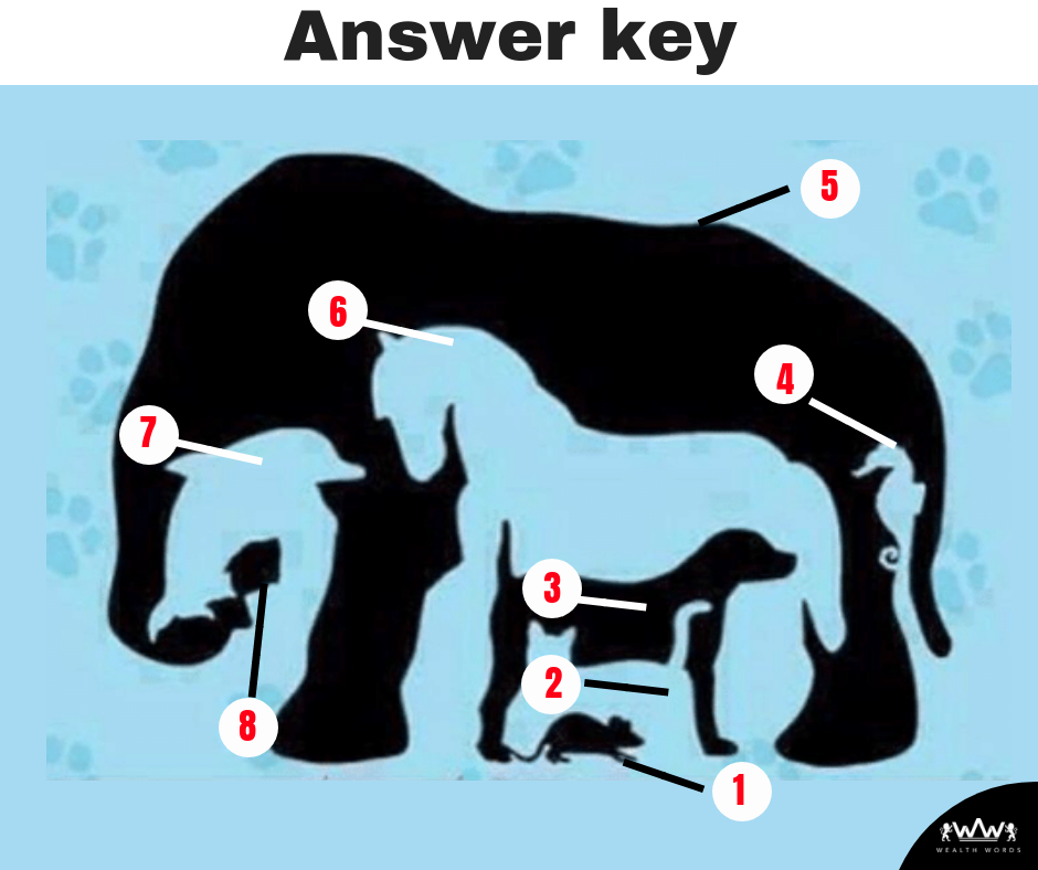 Картинка слон сколько животных Solve these Puzzle Problem Tests with Answers Included Picture puzzles, Brain te