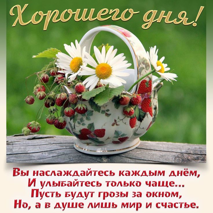 Картинка со стихами хорошего дня Пин на доске Добрые пожелания Ромашки, Открытки, Мужские дни рождения