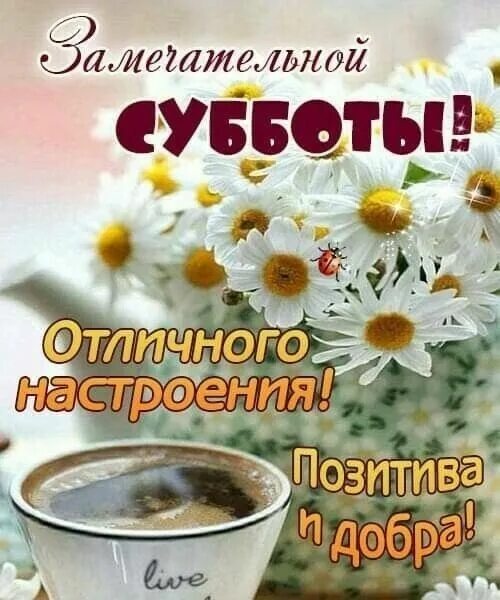 Картинка субботнего утра и хорошего дня Пин от пользователя Лёля Galustyan на доске Пожелания с добрым утром Субботы, Зд