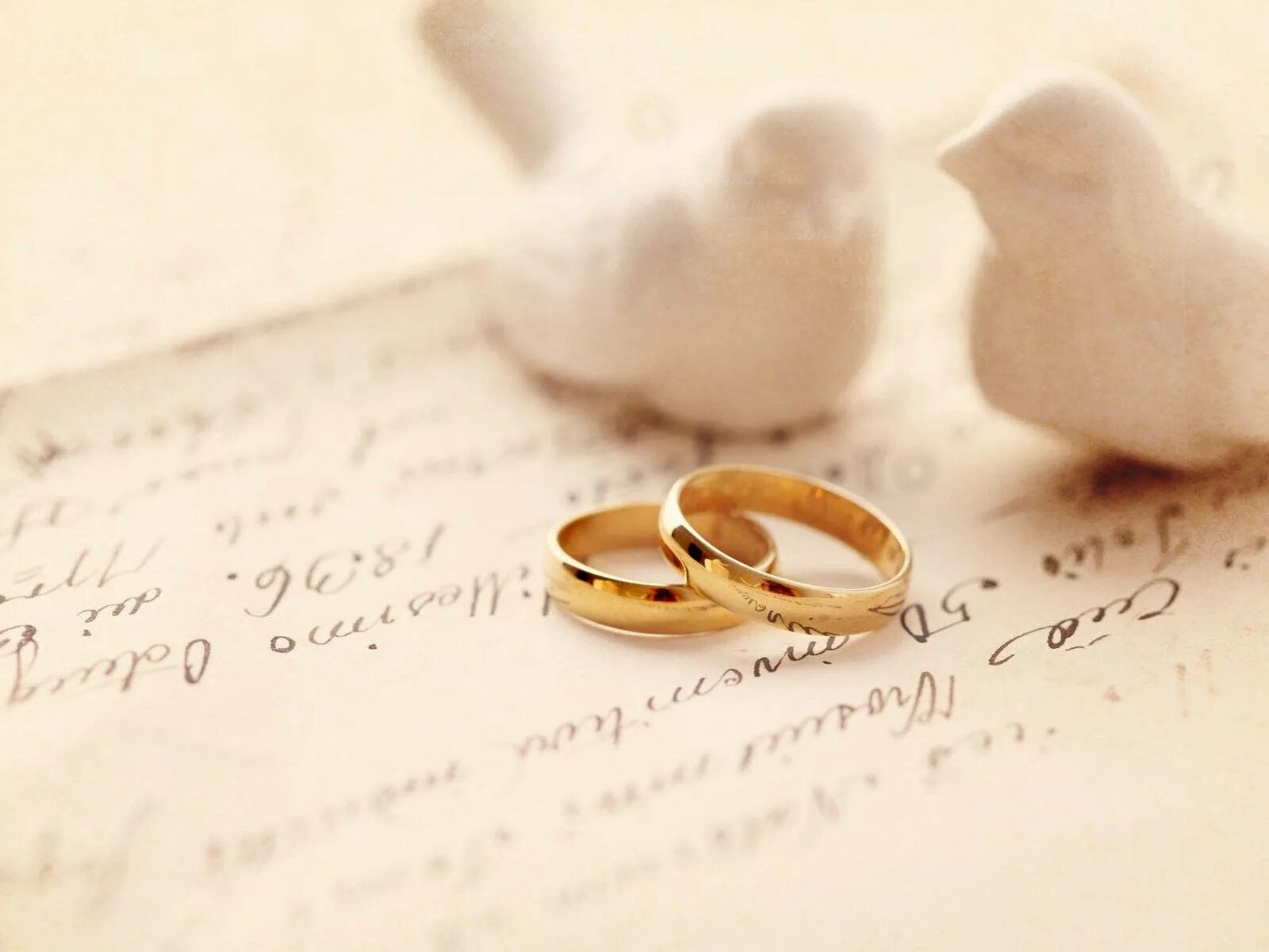 Картинка свадьба любовь Download Gold Wedding Rings And White Doves Wallpaper Wallpapers.com