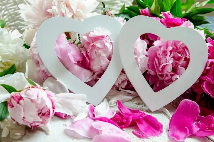 Картинка свадьба любовь Cada detalle cuenta... imagina, crea, inventa. Beautiful love pictures, Aestheti