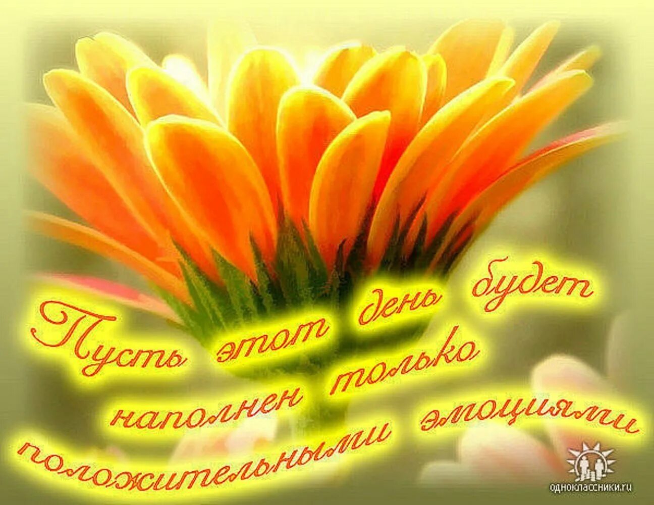 Картинка сыну хорошего дня Счастливого дня и добра