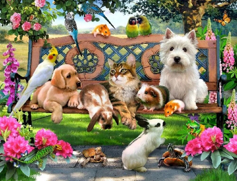 Картинка там всякими животными Platz voller bohrer diamant stickerei hund handkreuzstich diamond mosaic diamond