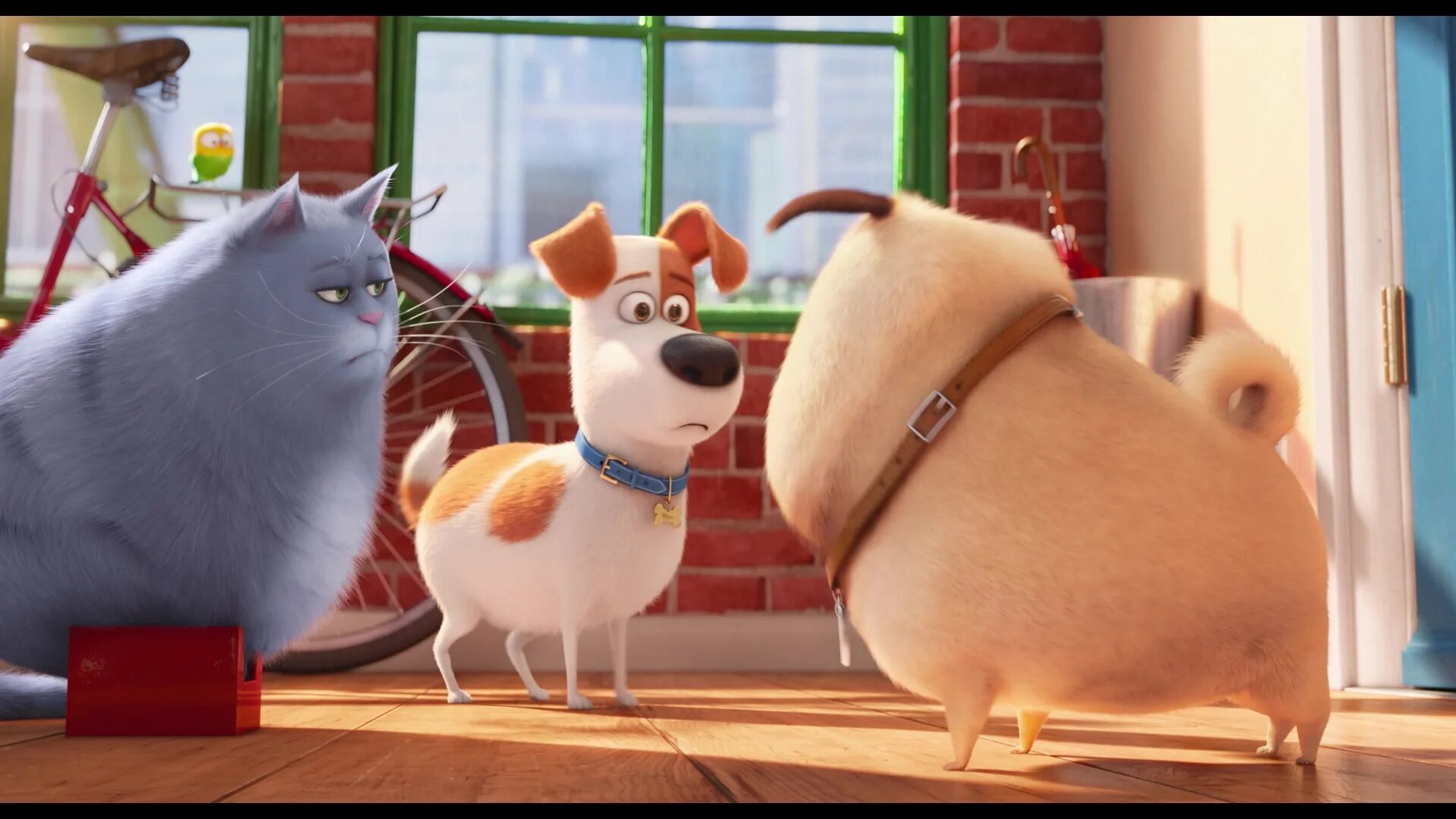 Картинка тайна домашних животных The Secret Life of Pets Screencap Fancaps
