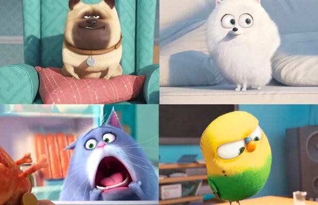 Картинка тайна домашних животных Animação "Pets, A Vida Secreta dos Bichos" ganha trailer internacional - Follow 