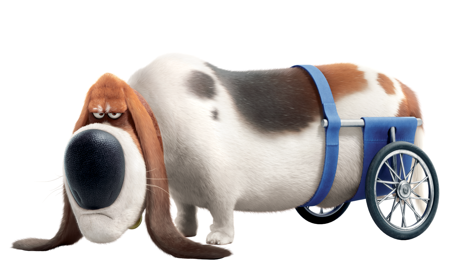 Картинка тайна домашних животных Discuss Everything About The Secret Life of Pets Wiki Fandom