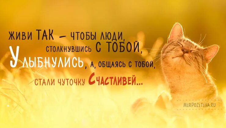 Картинка цитаты для позитивного настроения Пин на доске Жизненная мотивация
