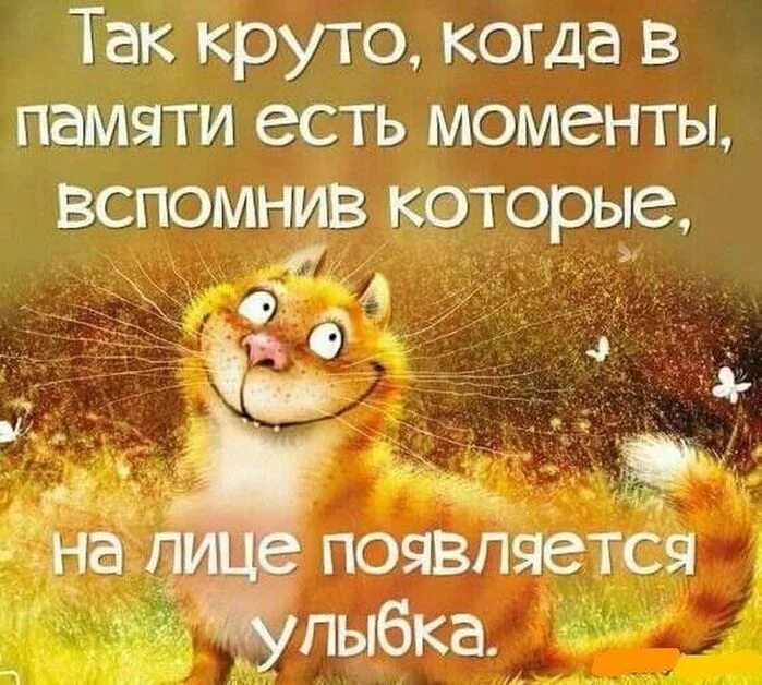 Картинка цитаты для позитивного настроения Российский Сервис Онлайн-Дневников Самые смешные цитаты, Цитаты, Позитив