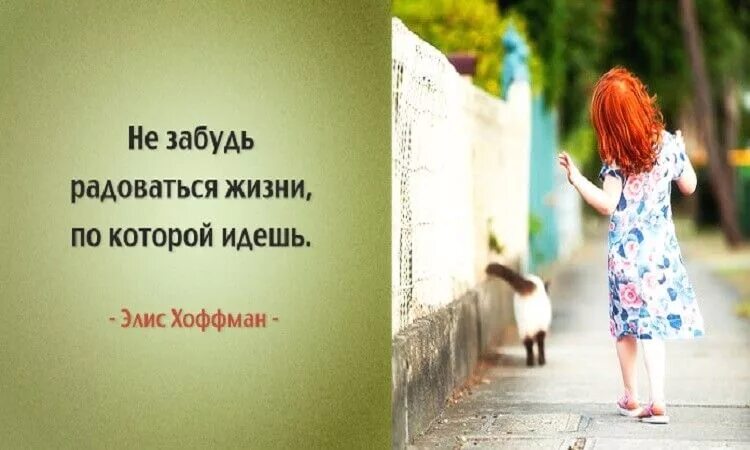Картинка цитаты для позитивного настроения 15 Открыток для хорошего настроения :) Веселые картинки, Вдохновляющие фразы, Лу