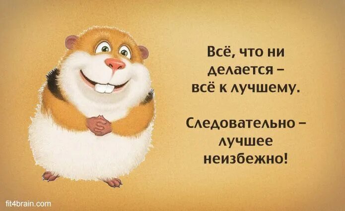 Картинка цитаты для позитивного настроения Очень смешные картинки: будьте счастливы везде и всегда Смешно, Юмористические ц