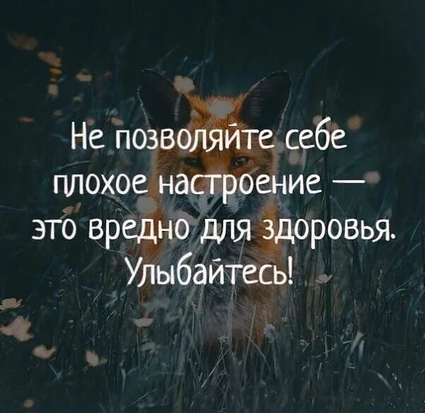 Картинка цитаты для позитивного настроения Задумайся - 28 июня 2021 в 15:26