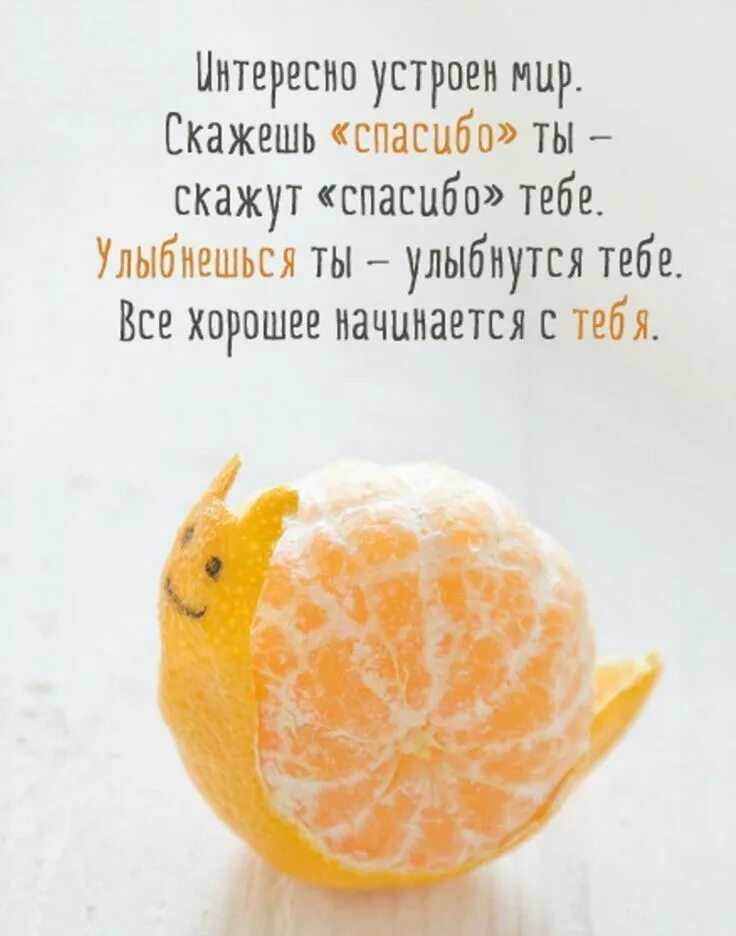 Картинка цитаты для позитивного настроения Интересно устроен мир Funny phrases, Cool words, Clear mind