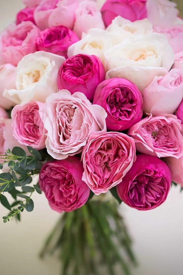 Картинка цветы с днем рождения Pin på Pink's Flower Shop Födelsedagshälsningar, Congratulations, Födelsedag