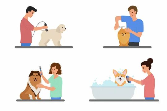 Картинка ухаживать за животными Dog Fight Images - Browse 40,605 Stock Photos, Vectors, and Video Adobe Stock