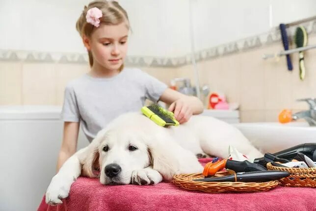 Картинка ухаживать за животными Для Животны - Басқа да жануарлар - OLX.kz