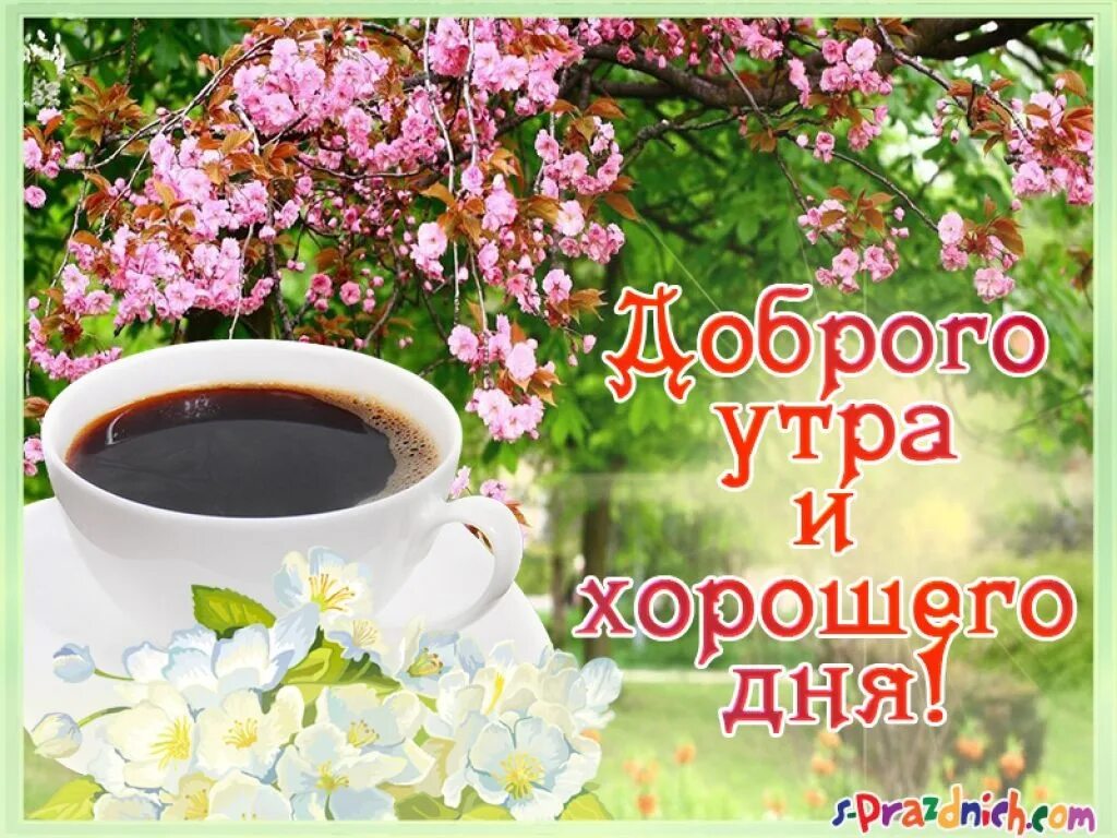 Картинка ура доброе утро С добрым утром! Котлас