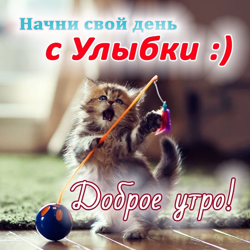 Картинка ура доброе утро Мукбанг с Наташей