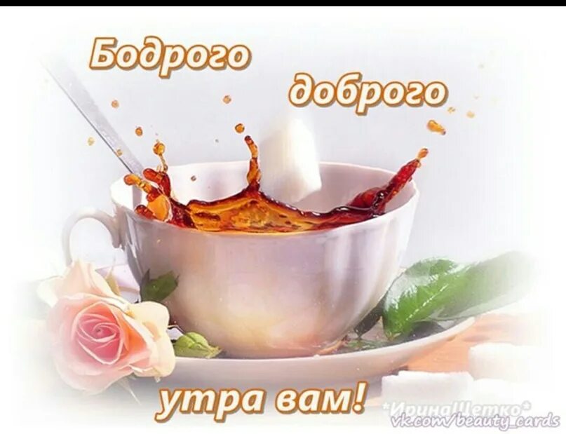 Картинка ура доброе утро Картинка 31 января день утро доброе - найдено 75 картинок