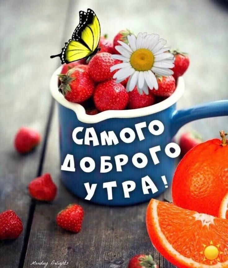 Картинка утро доброе и прекрасное прикольная Пин на доске Доброе утро Доброе утро, Картинки, Открытки