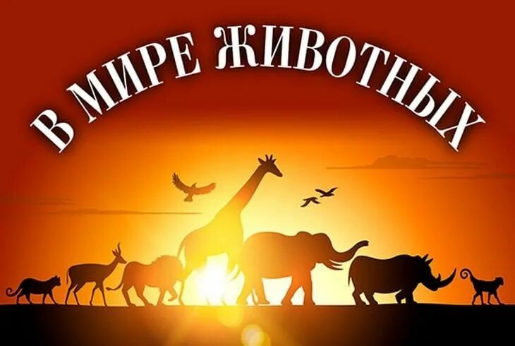Картинка в мире животных Литературное путешествие "В мире животных" 2022, Брянск - дата и место проведени